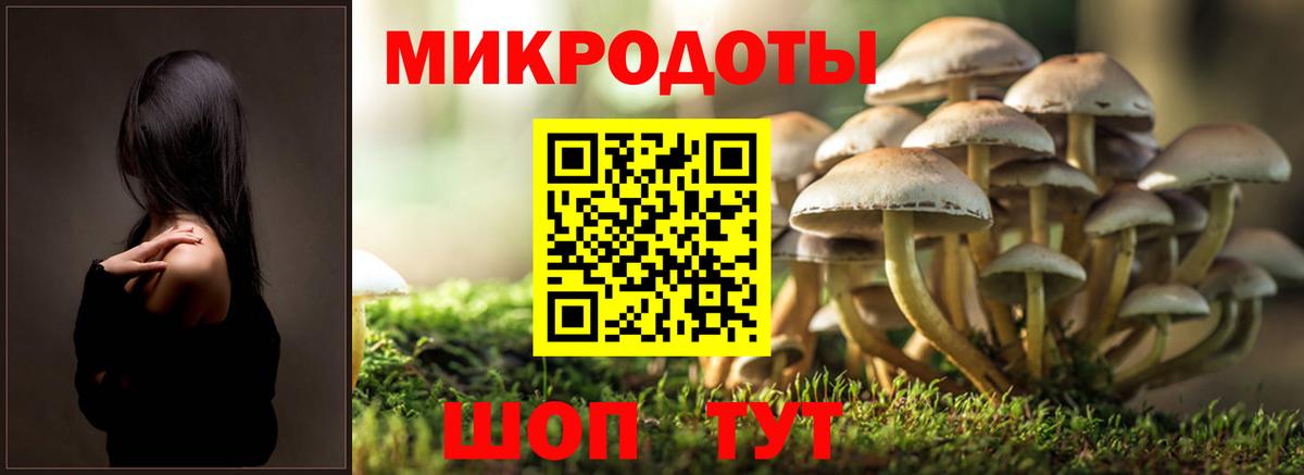 Галлюциногенные грибы GOLDEN TEACHER Вязьма